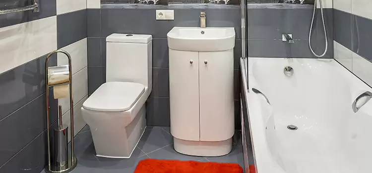 Hansgrohe Shaving Mirror Burlingame